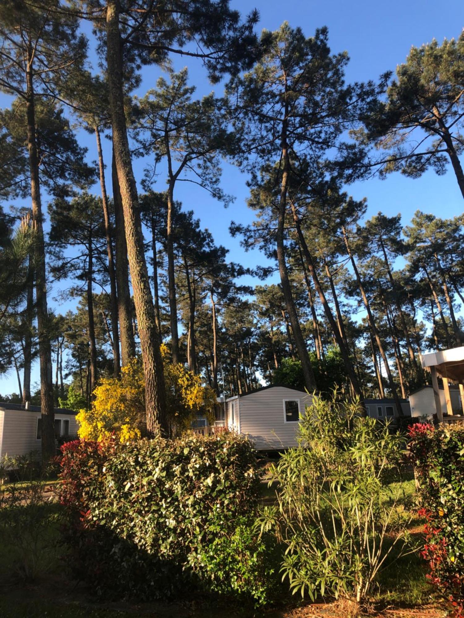 Mobile Home - Les Dunes De Contis 생-줄리앙-앙-보른 외부 사진